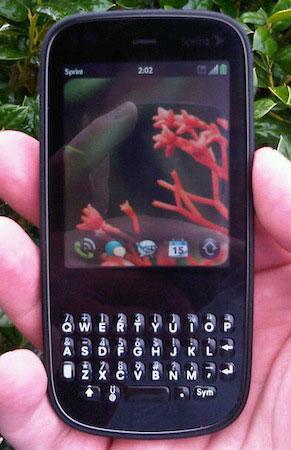 Palm Pixi front view