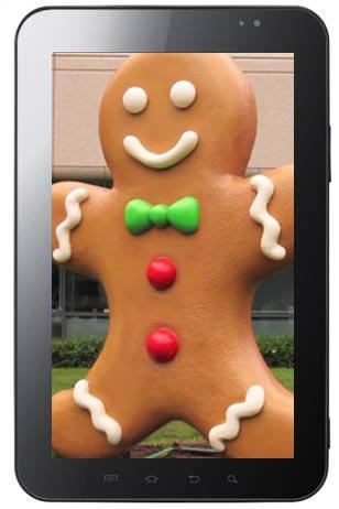 Samsung Galaxy Tab Gingerbread