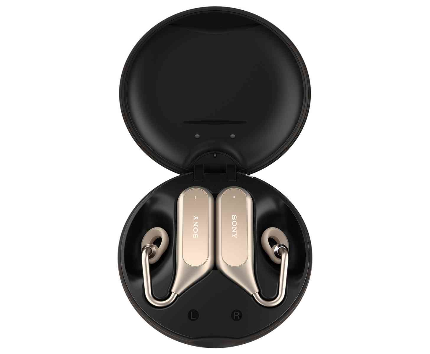 Sony Xperia Ear Duo carrying case