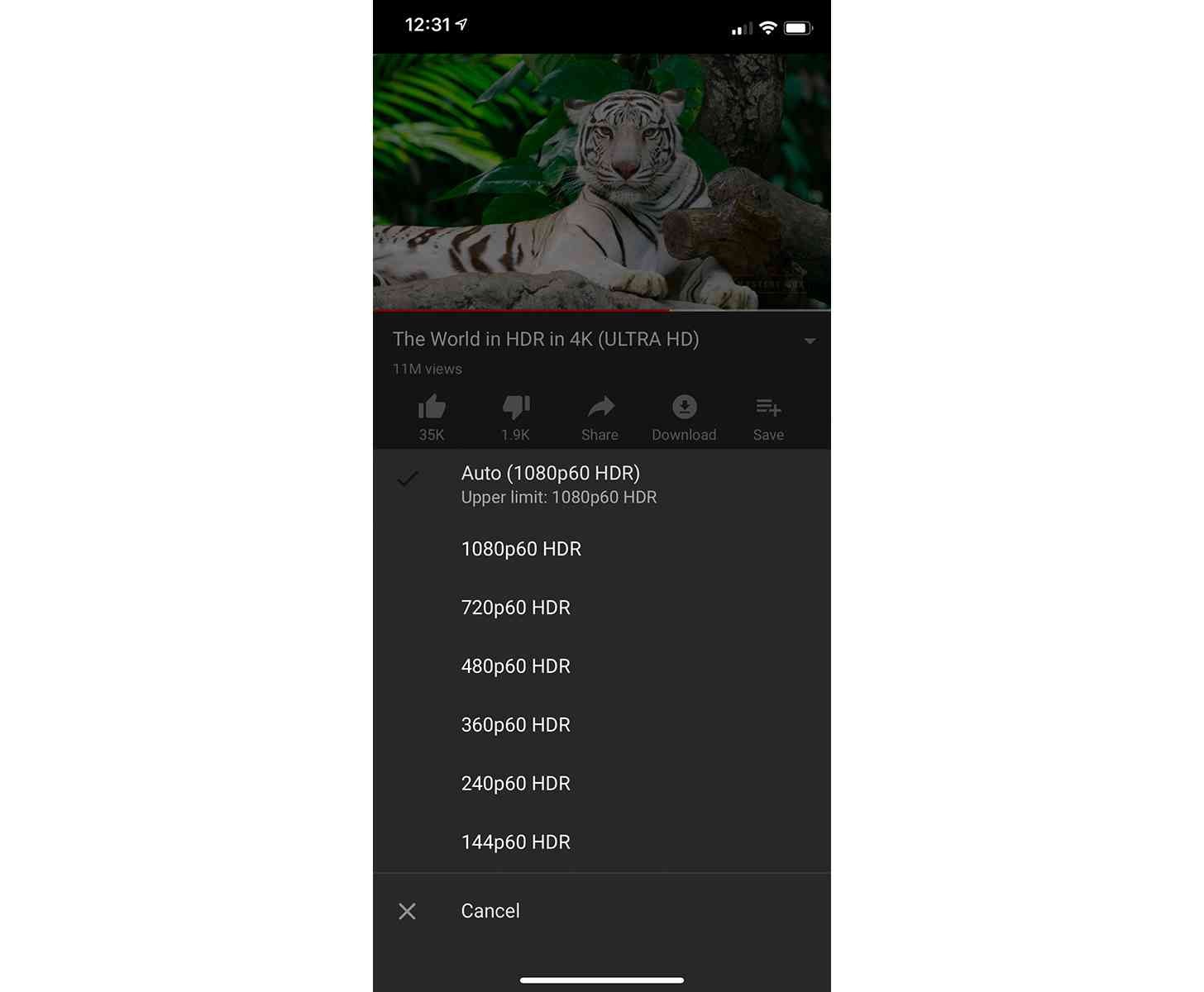 YouTube app iOS HDR iPhone XS Max