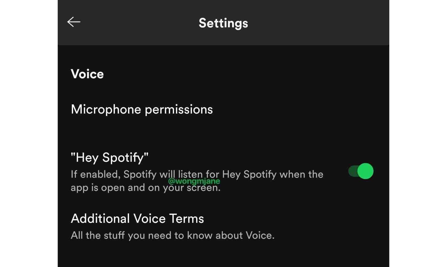 Hey Spotify hotword voice activation