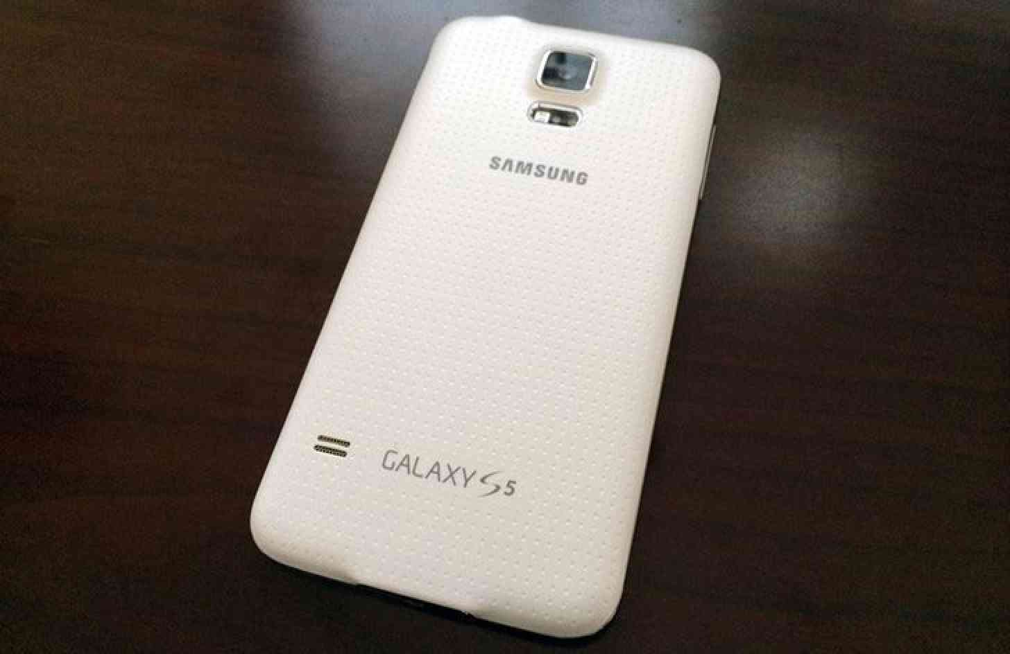 Samsung Galaxy S5 rear