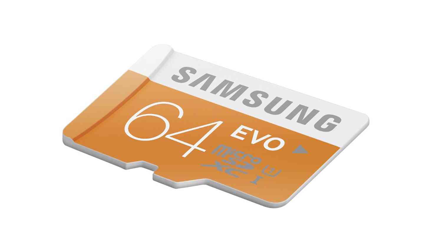 Samsung EVO microSD card large