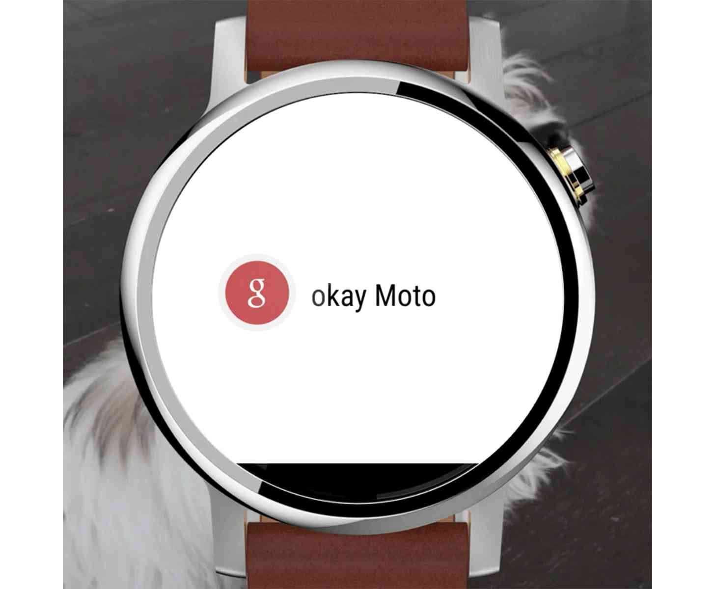 New Moto 360 leak large?