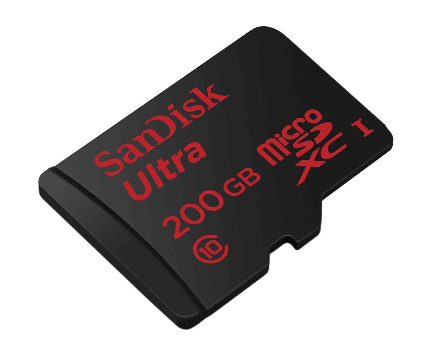 SanDisk 200GB microSD card large