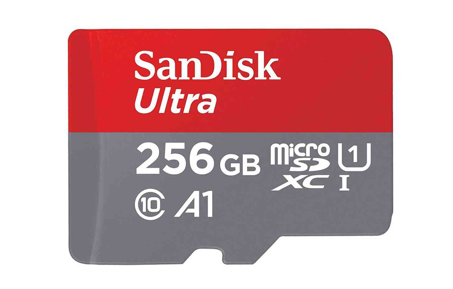 SanDisk 256GB microSD card official