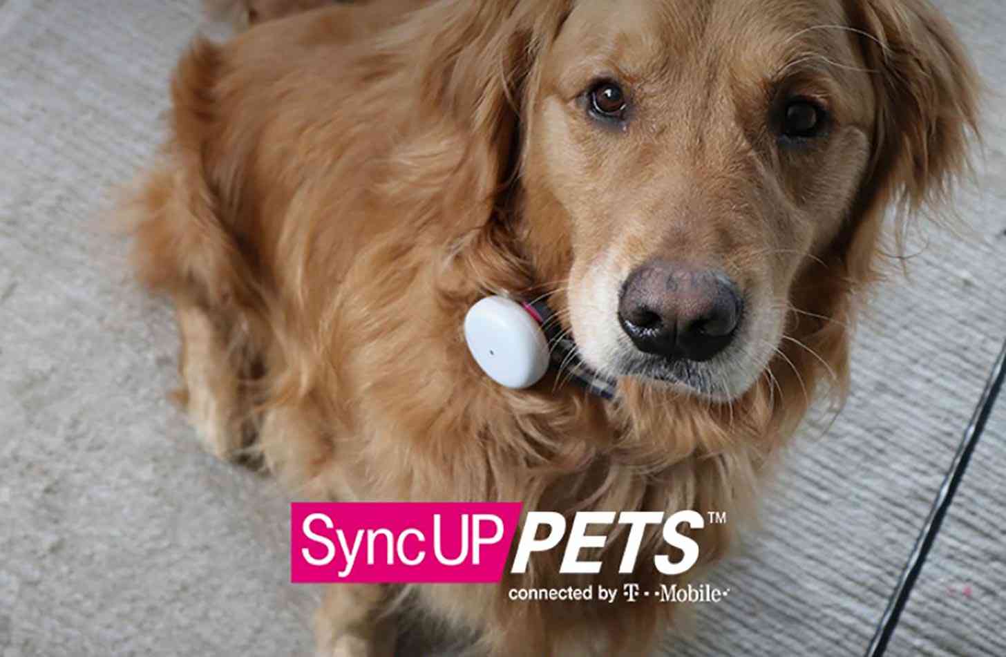 SyncUp Pets T-Mobile tracker
