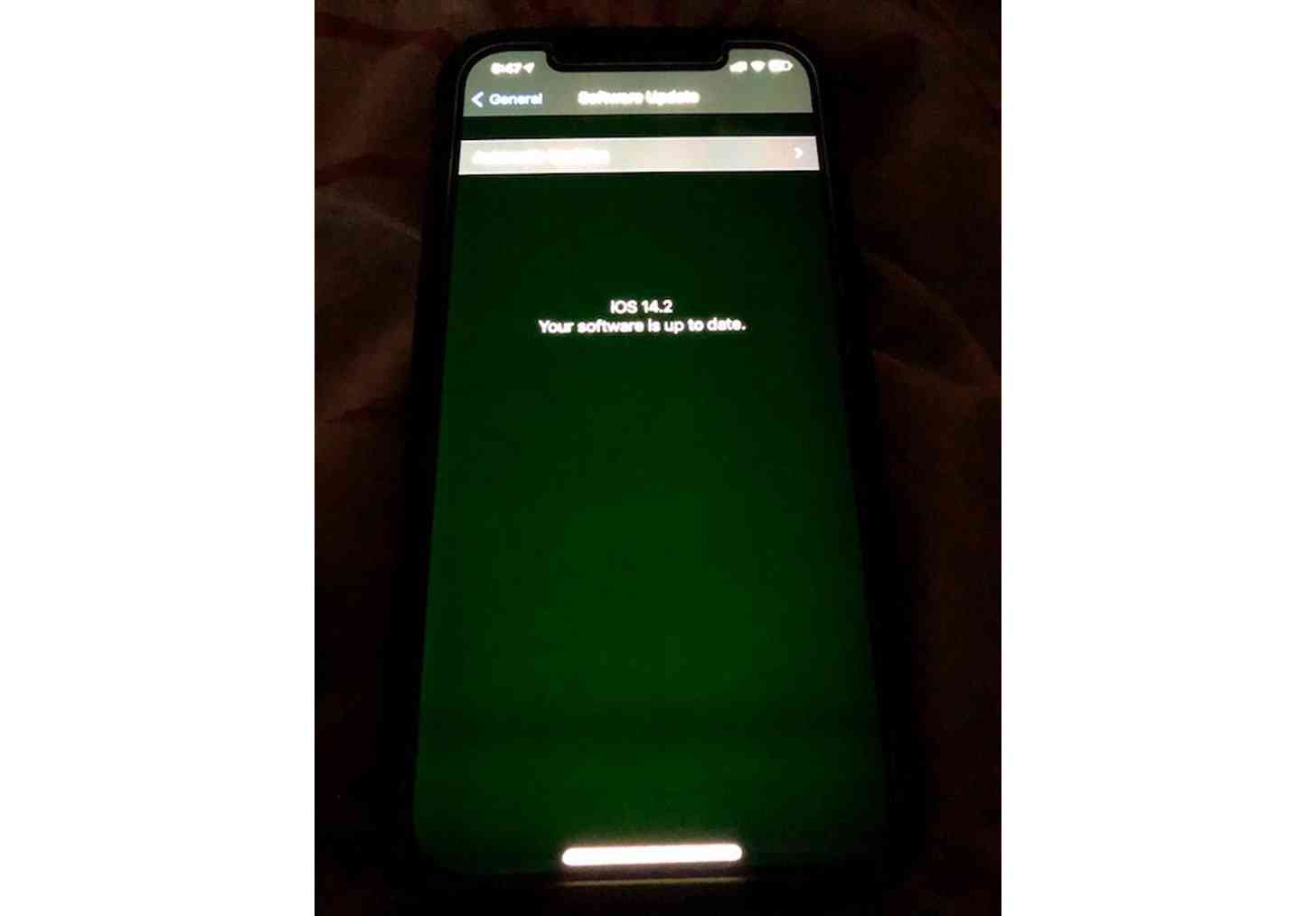 iPhone 12 green tint display issue