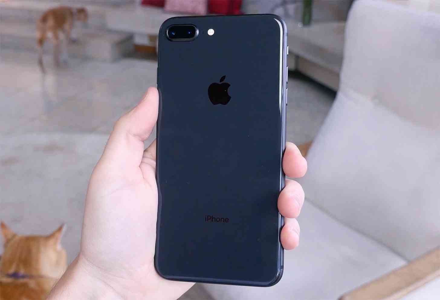 iPhone 8 Plus hands-on video