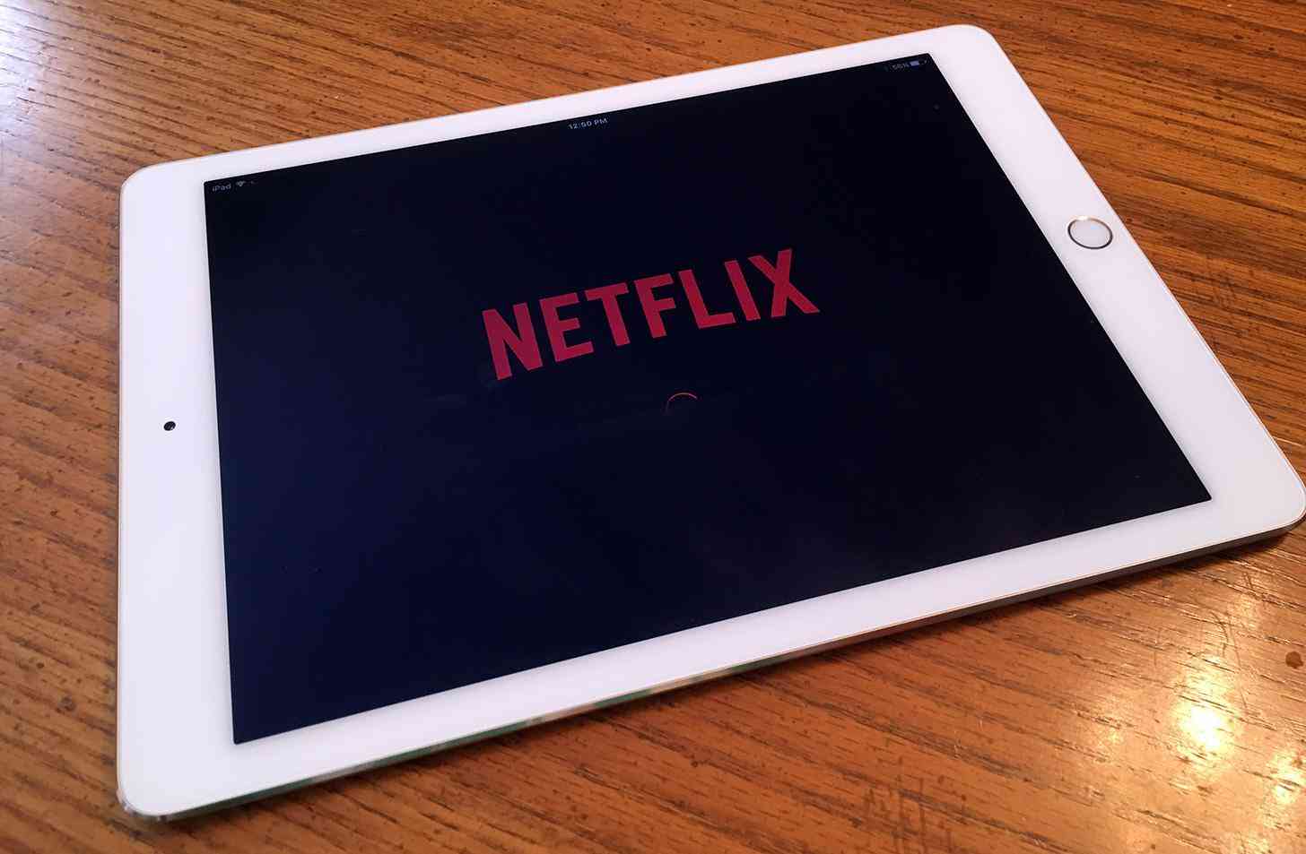 Netflix app iPad
