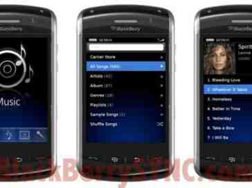 Thunder: First Spy Shots of Touch Screen BlackBerry