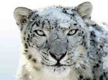 Snow Leopard, and what it means for the iPhone 