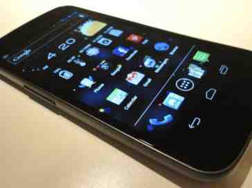 Google, please let there be multiple Nexus devices for Jelly Bean