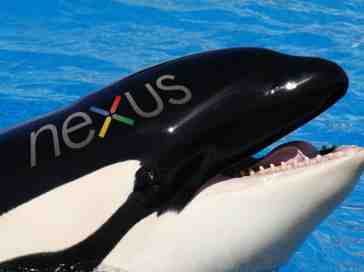 Should the Nexus also offer a 