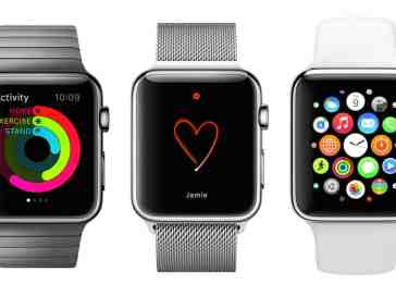 How much are you willing to pay for an Apple Watch?