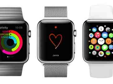 How successful can the Apple Watch really be?