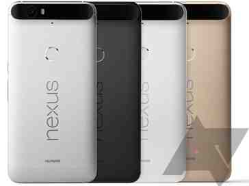 Huawei Nexus 6P leaks continue with image that shows color options