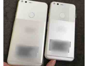 Google Pixel and Pixel XL shown in clear photos