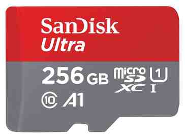 SanDisk 256GB microSD