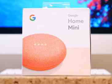 Google Home Mini Review: Go Big or Go Home?