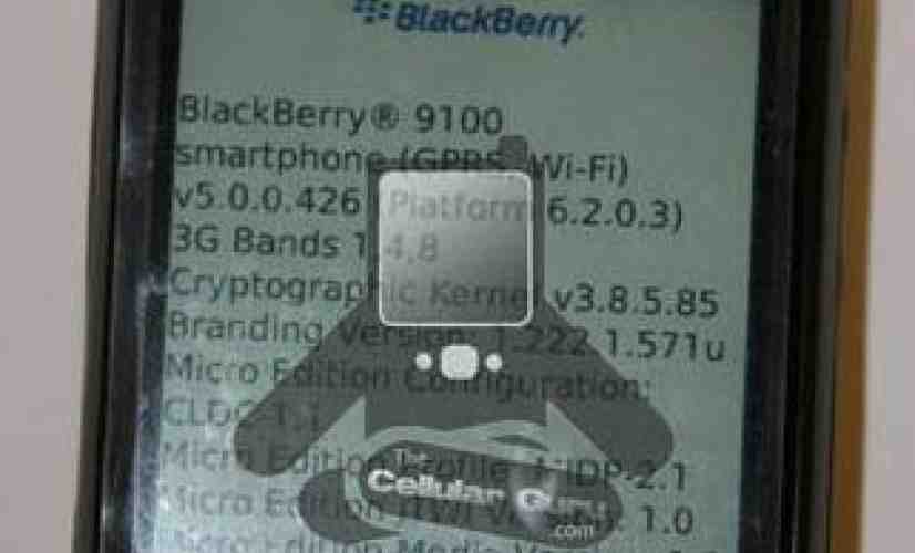 New BlackBerry 9100 pictures surface