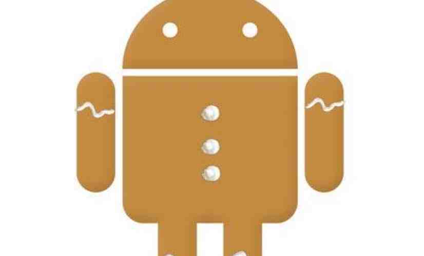 Rumor: Google releasing Gingerbread SDK next week