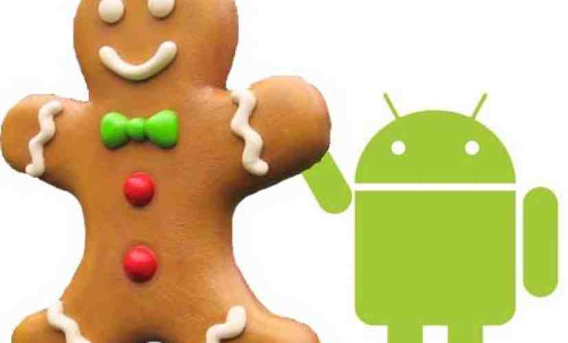 Gingerbread now rumored to arrive on December 6th