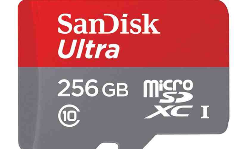 SanDisk 256GB microSD card