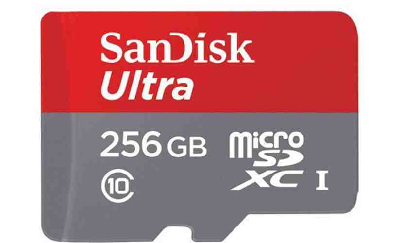 SanDisk 256GB microSD card