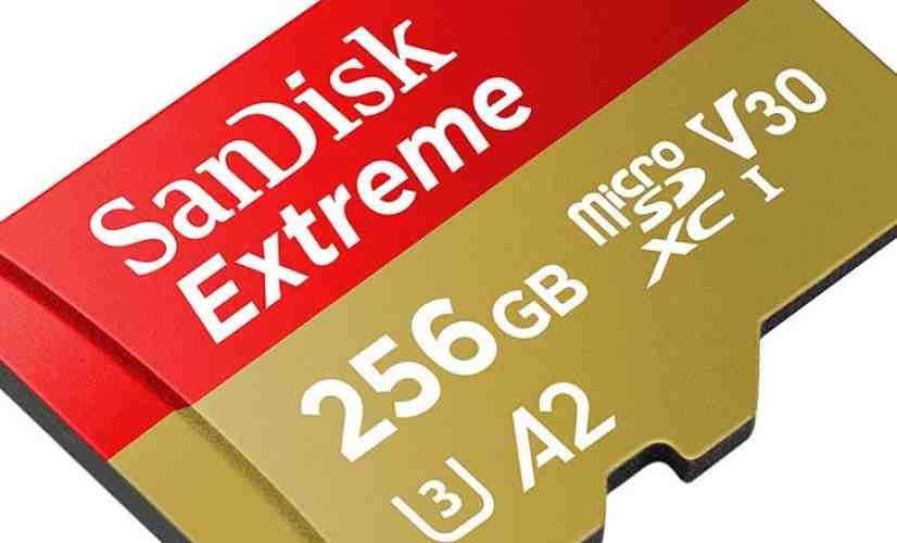 SanDisk 256GB microSD card