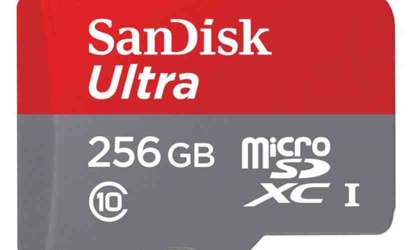 SanDisk 256GB microSD card