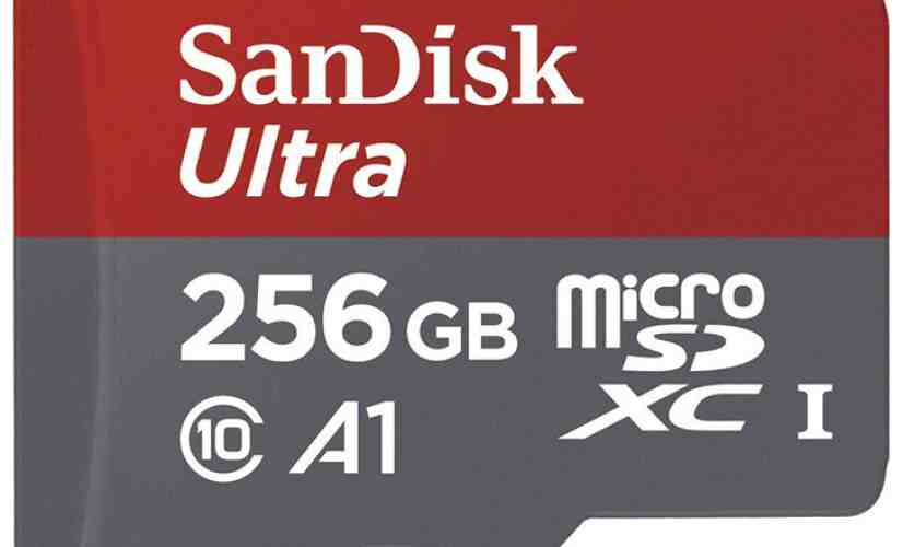 SanDisk 256GB microSD card