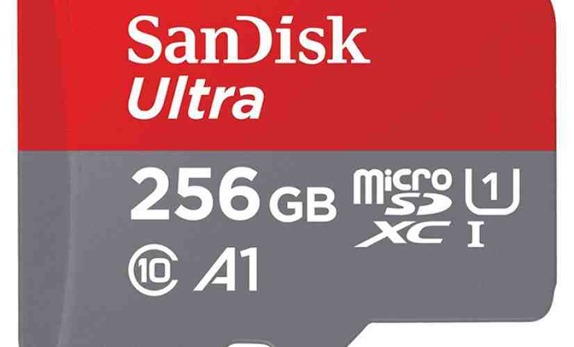 SanDisk 256GB microSD