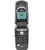 Motorola v60T